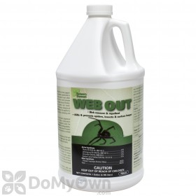 Web Out Cobweb Eliminator - Gallon