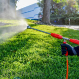 Alternate Image 1 Thumbnail