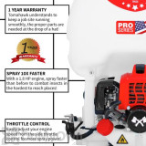 Alternate Image 2 Thumbnail