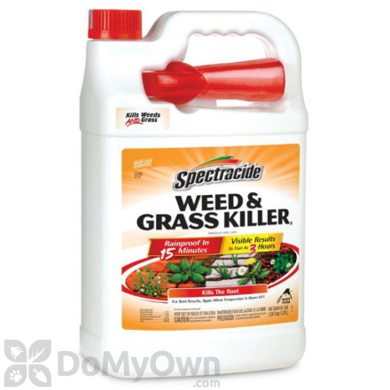 Spectracide Weed and Grass Killer RTU CASE