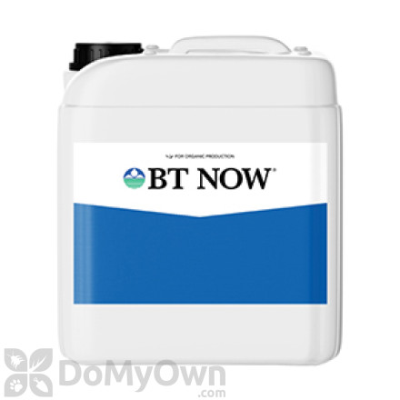 BT NOW Biological Insecticide 2.5 gal.