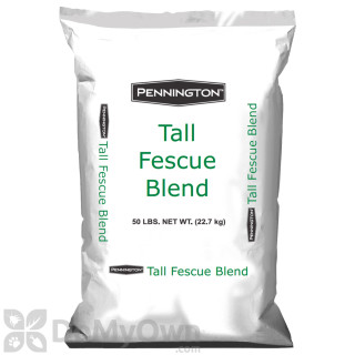 image of Pennington Tall Fescue Blend Grass Seed