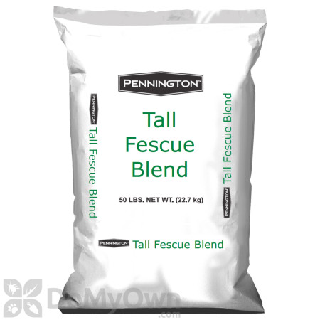 Pennington Tall Fescue Blend