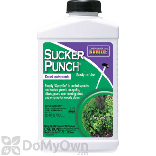 image of Sucker Punch RTU Brush Top