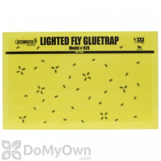 Catchmaster 948 Giant Fly Glue Trap w/ Attractant 48pk