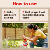 Alternate Image 2 Thumbnail