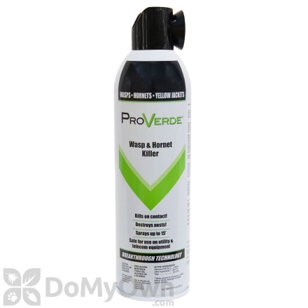 ProVerde Wasp and Hornet Killer - CASE (12 x 14 oz. cans)