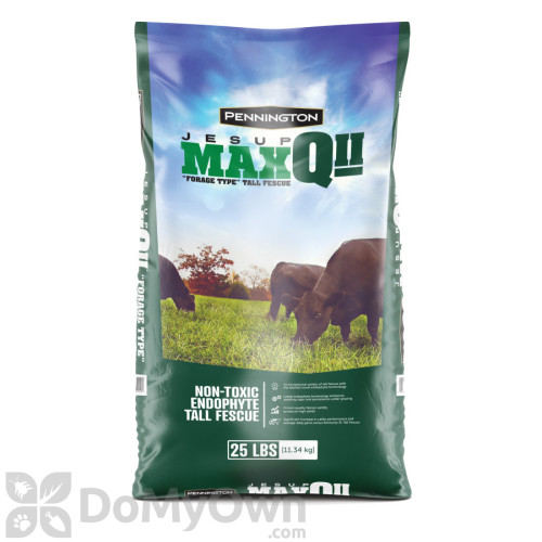 Pennington MaxQ II Jesup Forage Tall Fescue Seed