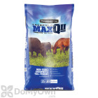 Pennington MaxQ II Novel Endophyte Lacefield Tall Fescue Seed