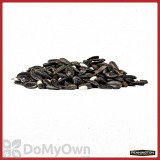 Alternate Image 1 Thumbnail