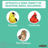 Alternate Image 3 Thumbnail