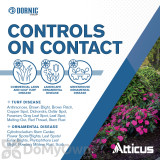 Alternate Image 1 Thumbnail