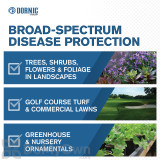 Alternate Image 2 Thumbnail