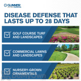 Alternate Image 1 Thumbnail