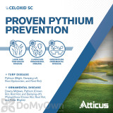 Alternate Image 1 Thumbnail