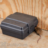 Alternate Image 3 Thumbnail