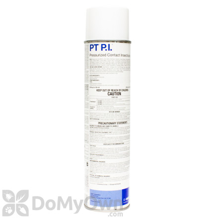 PT PI Aerosol Insecticide - CASE