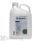 Banol Fungicide - 2.5 Gallons