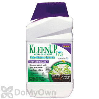 image of Bonide KleepUP he Concentrate Quart