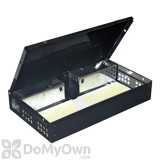 Alternate Image 1 Thumbnail