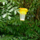 Yellow Jacket Bait Station Kit with Onslaught
