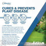 Alternate Image 1 Thumbnail