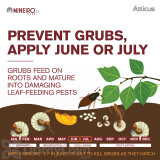 Alternate Image 1 Thumbnail