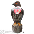 Bird B Gone Hawk Decoy