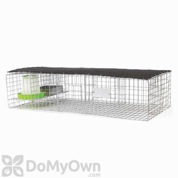 Bird B Gone Pigeon Trap with Shade, Food, and Water