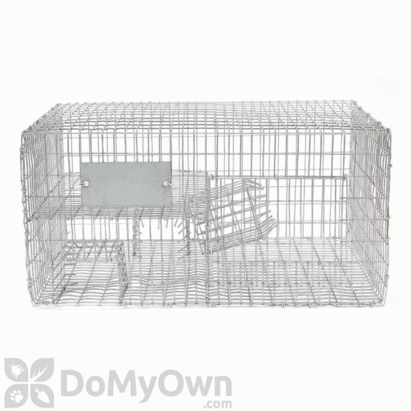 Bird B Gone Sparrow Trap