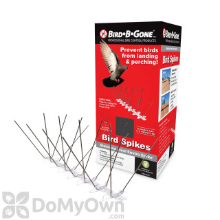 image of Bird B Gone Envirospike Stainless Steel Bird Spikes - 10 Feet
