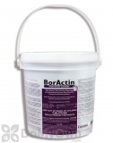 BorActin Insecticide Powder - 5 lbs.