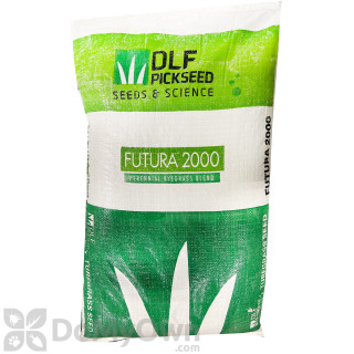 image of Futura 2000 Perennial Ryegrass