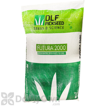 Futura 2000 Perennial Ryegrass