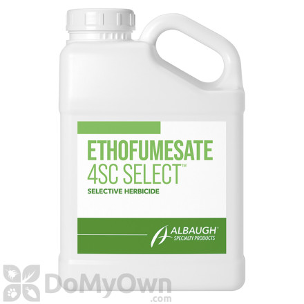 Ethofumesate 4SC Select Selective Herbicide