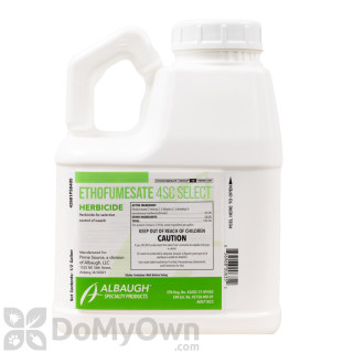 image of Ethofumesate 4SC Select Selective Herbicide