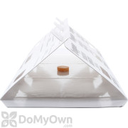 Red-Legged Ham Beetle Kit (IL-660)