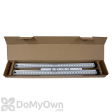 Alternate Image 1 Thumbnail