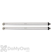 Genus Fli LED Light Strips