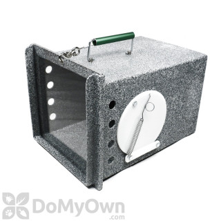 402 Collapsible Fish Live Box