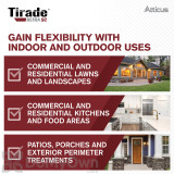 Alternate Image 2 Thumbnail