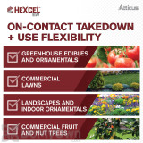 Alternate Image 1 Thumbnail