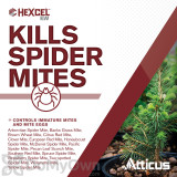 Alternate Image 2 Thumbnail