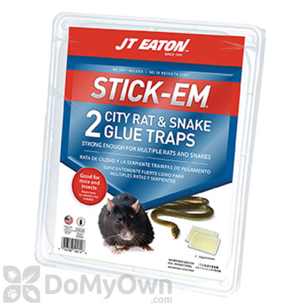 J.T. Eaton Stick - Em City Rat and Snake Glue Traps 