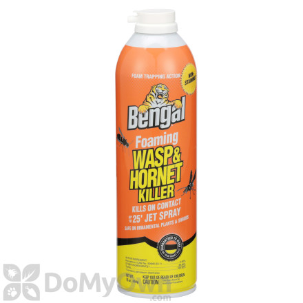 Bengal Foaming Wasp and Hornet Killer 