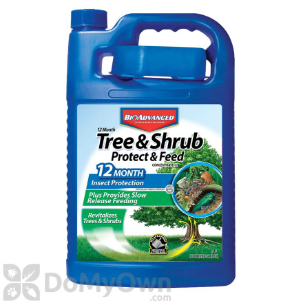 Bio Advanced 12 Month Tree and Shrub Protect and Feed Concentrate II Gallon