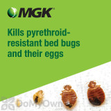 Alternate Image 1 Thumbnail