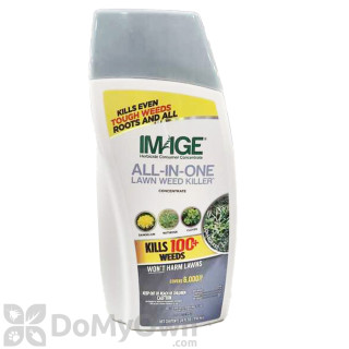 image of Image All-In-One Lawn Weed Killer Concentrate