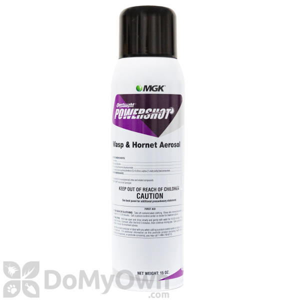 Onslaught Powershot Wasp & Hornet Aerosol