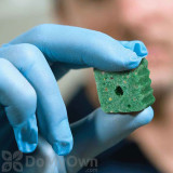 Alternate Image 1 Thumbnail